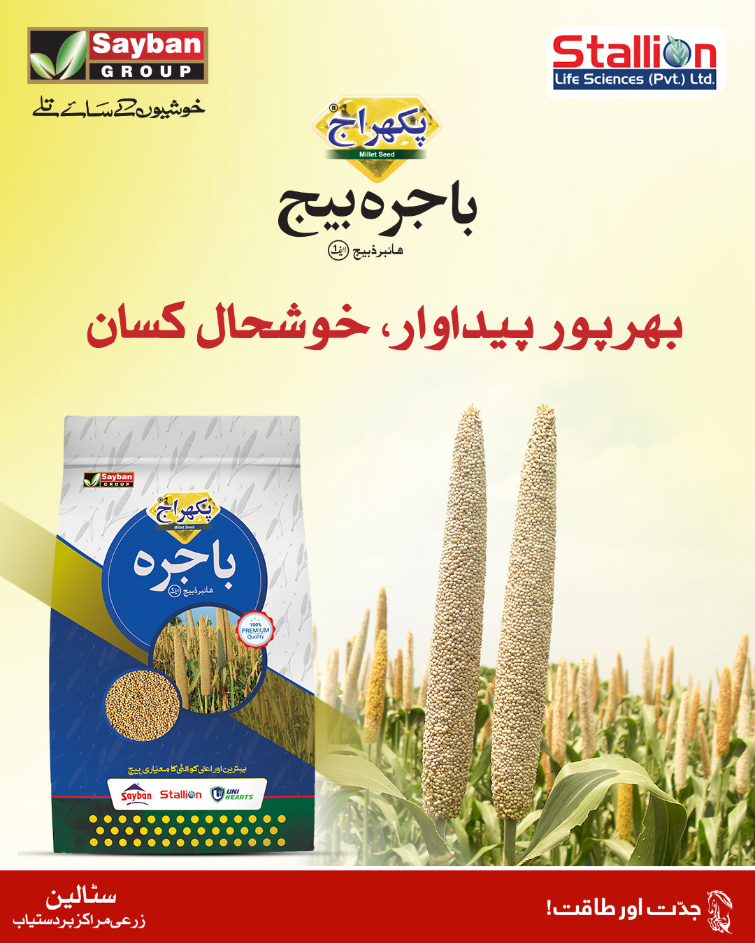 Stallion Hybrid Bajra Seed