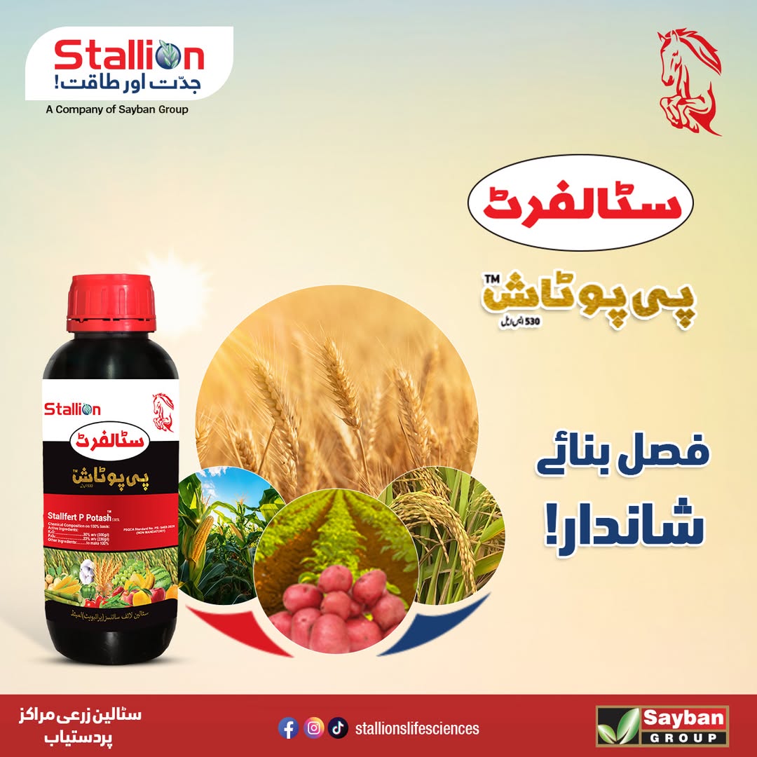 Stallion Stalfert P-Potash Fertilizer