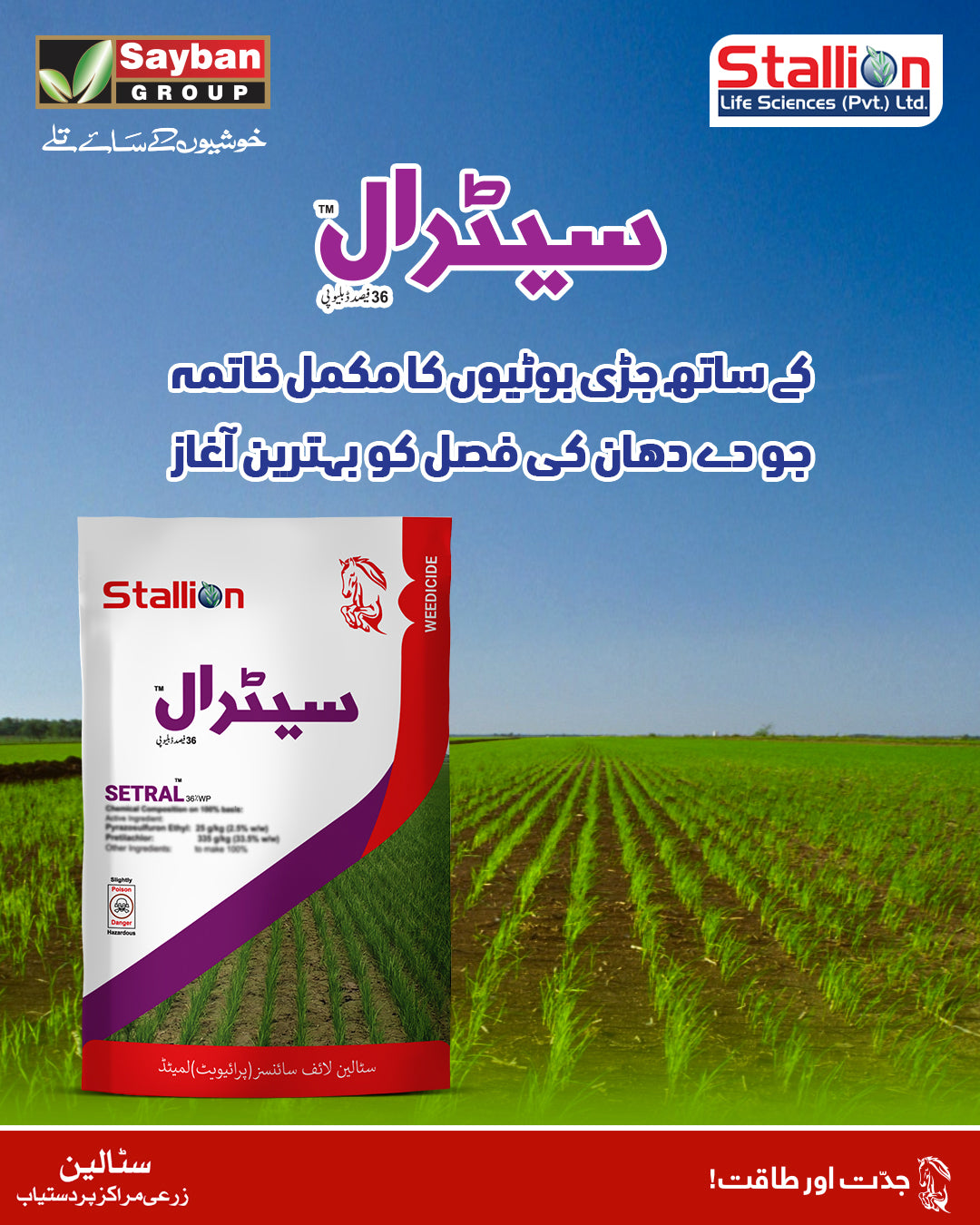 Stallion Setral 36% WP Pesticide