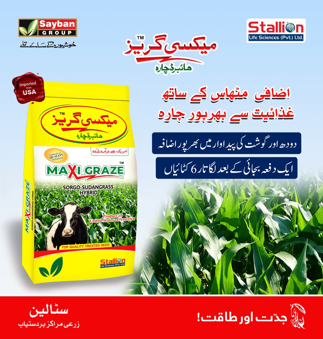 Stallion Maxi Graze Imported Fodder