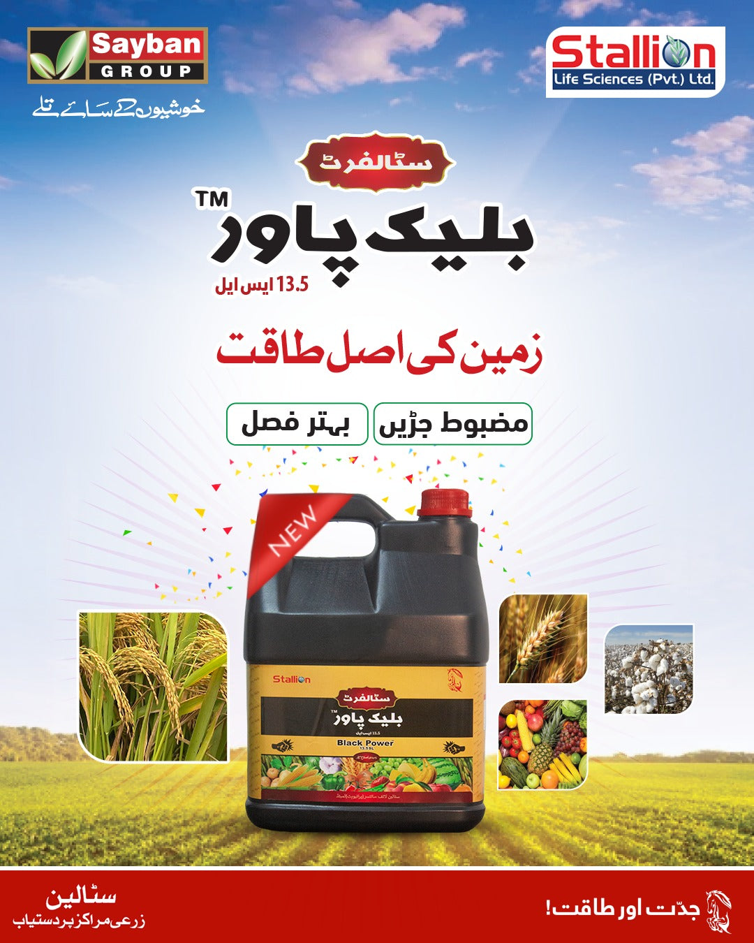 Stallion Black Power Fertilizer