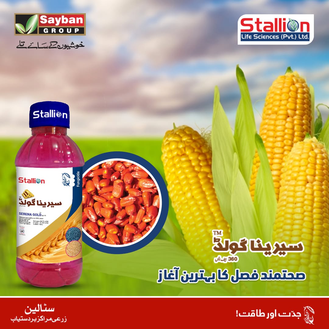 Stallion Serena Gold Pesticide