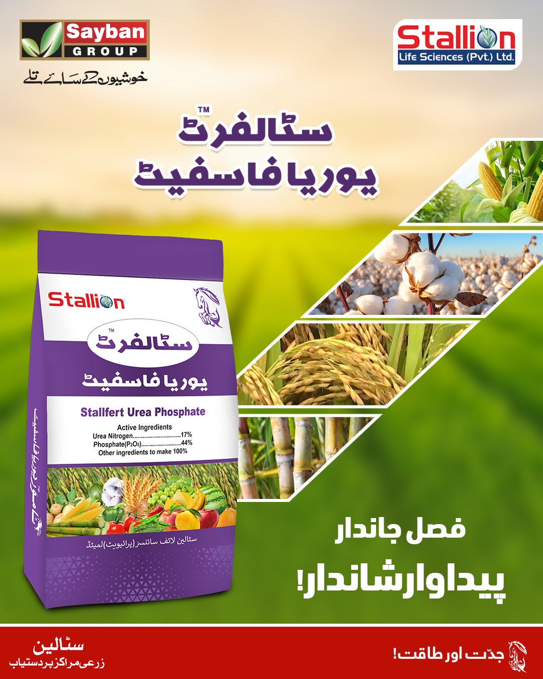 Stallion Stalfert Urea Phosphate Fertilizer