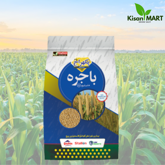 Stallion Hybrid Bajra Seed