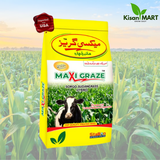 Stallion Maxi Graze Imported Fodder