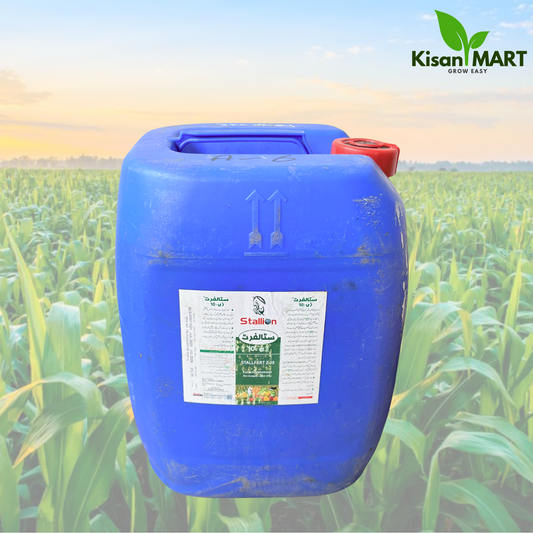 STALLFERT Z-10 (Zinc 10%) Fertilizer