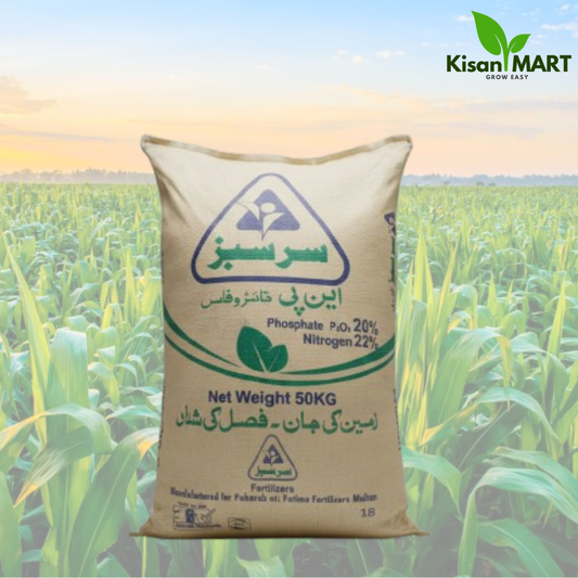 Sarsabz NP Fertilizer (22-20-0) 50 KG
