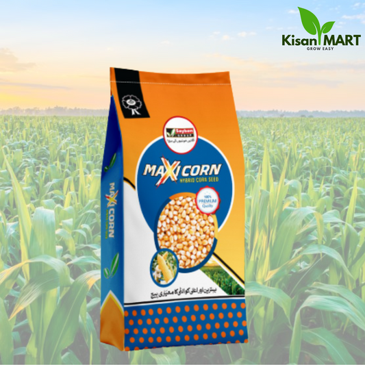 MAXICORN (Hybrid Corn Seed) (US IMPORT)