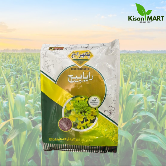 Mustard Seed (Raya Beej)